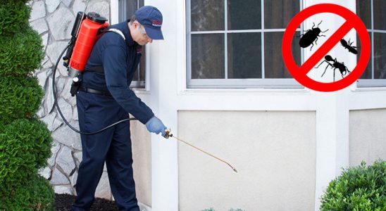 Tuzlukçu Fare İlaçlama böcek ilaçlama ve haşere kontrolü — ilaclama-tr.com